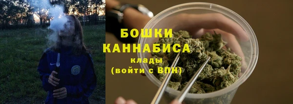 МДПВ Няндома
