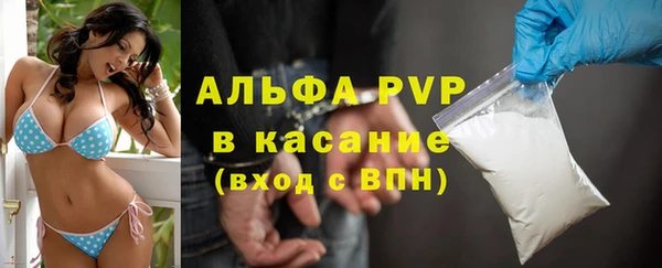 прущий лед Алзамай