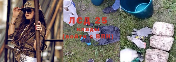 гидра Нязепетровск
