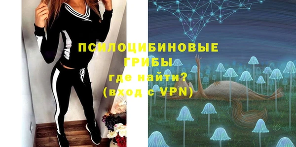 прущий лед Алзамай