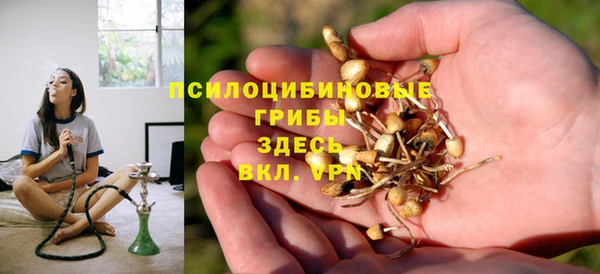 прущий лед Алзамай